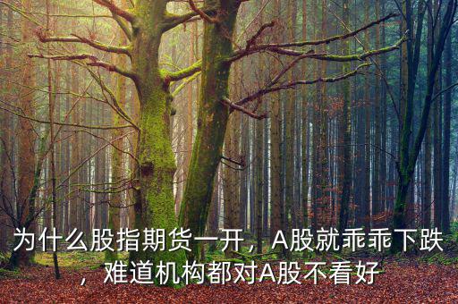 為什么股指期貨一開，A股就乖乖下跌，難道機(jī)構(gòu)都對A股不看好