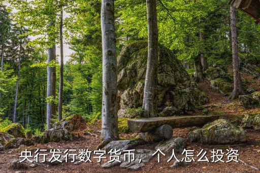 央行發(fā)行數(shù)字貨幣，個(gè)人怎么投資