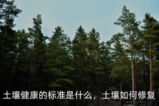 土壤健康的標準是什么，土壤如何修復