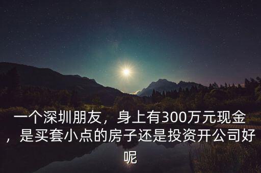 一個深圳朋友，身上有300萬元現(xiàn)金，是買套小點的房子還是投資開公司好呢
