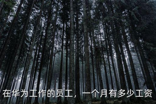 在華為工作的員工，一個月有多少工資