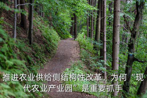 推進農(nóng)業(yè)供給側(cè)結(jié)構(gòu)性改革，為何“現(xiàn)代農(nóng)業(yè)產(chǎn)業(yè)園”是重要抓手