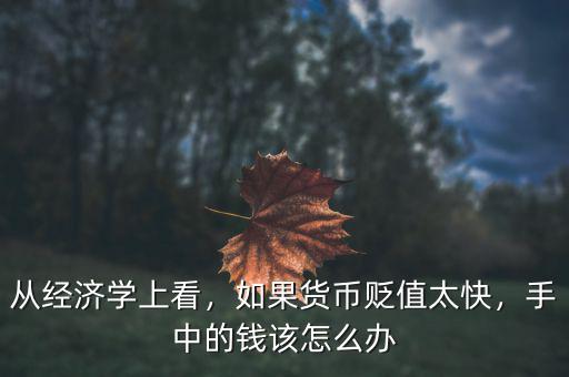 從經(jīng)濟學上看，如果貨幣貶值太快，手中的錢該怎么辦