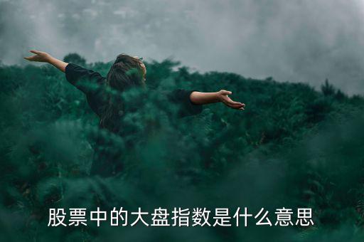 股票中的大盤(pán)指數(shù)是什么意思