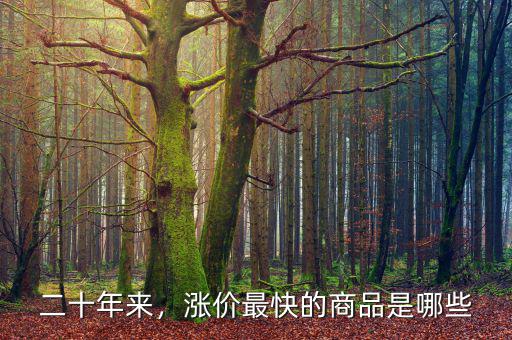 二十年來，漲價最快的商品是哪些