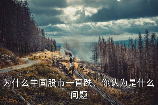 為什么中國股市一直跌，你認為是什么問題