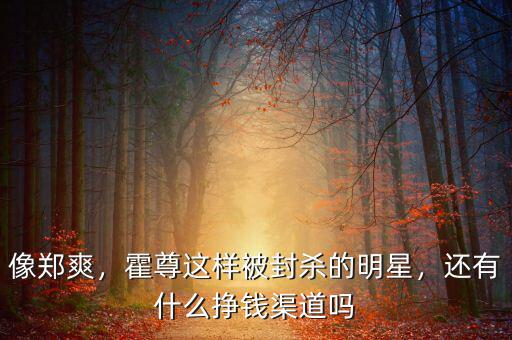像鄭爽，霍尊這樣被封殺的明星，還有什么掙錢渠道嗎