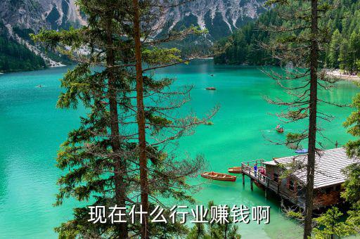 什么行業(yè),現(xiàn)在什么行業(yè)賺錢(qián)啊