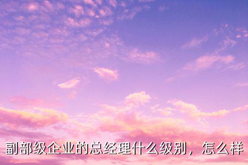 副部級(jí)企業(yè)的總經(jīng)理什么級(jí)別，怎么樣