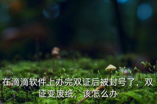 在滴滴軟件上辦完雙證后被封號(hào)了，雙證變廢紙，該怎么辦
