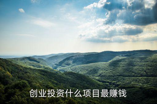 創(chuàng)業(yè)投資什么項(xiàng)目最賺錢(qián)
