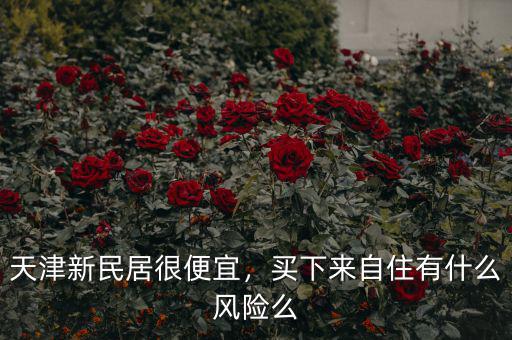 天津新民居很便宜，買下來自住有什么風(fēng)險(xiǎn)么