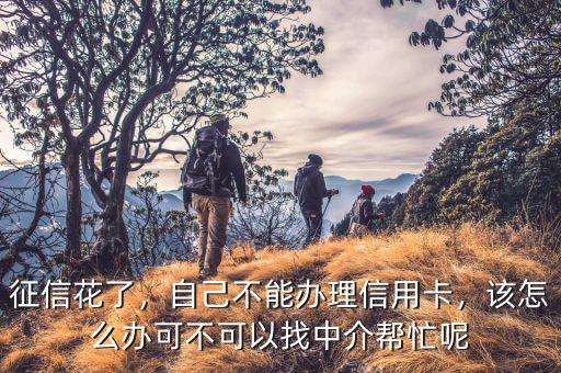 征信花了，自己不能辦理信用卡，該怎么辦可不可以找中介幫忙呢
