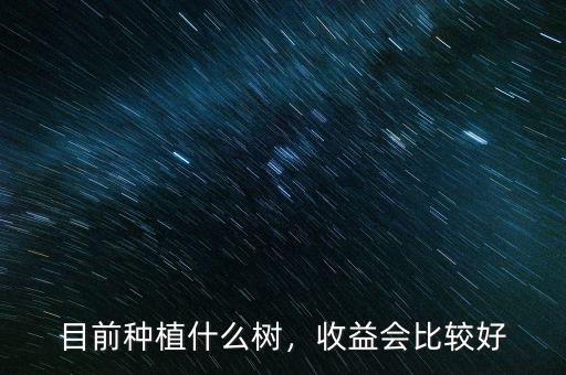 目前種植什么樹，收益會(huì)比較好