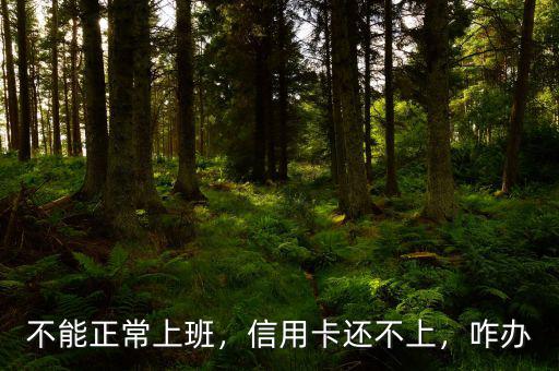 不能正常上班，信用卡還不上，咋辦
