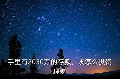 手里有2030萬的存款，該怎么投資理財