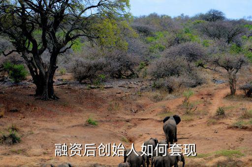 業(yè)務怎么套現(xiàn),怎么盡快賣房套現(xiàn)