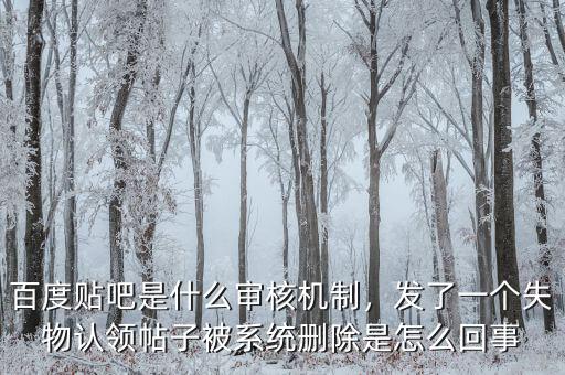 百度貼吧是什么審核機制，發(fā)了一個失物認領帖子被系統(tǒng)刪除是怎么回事