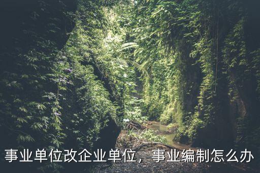 事業(yè)單位改企業(yè)單位，事業(yè)編制怎么辦