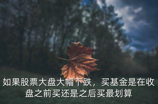 如果股票大盤大幅下跌，買基金是在收盤之前買還是之后買最劃算