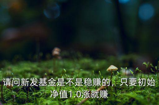 請問新發(fā)基金是不是穩(wěn)賺的，只要初始凈值1.0漲就賺