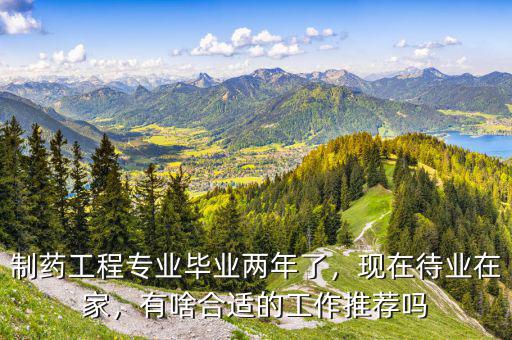 制藥工程專業(yè)畢業(yè)兩年了，現(xiàn)在待業(yè)在家，有啥合適的工作推薦嗎