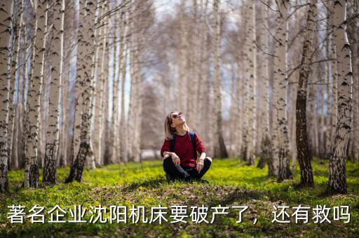 著名企業(yè)沈陽機床要破產(chǎn)了，還有救嗎