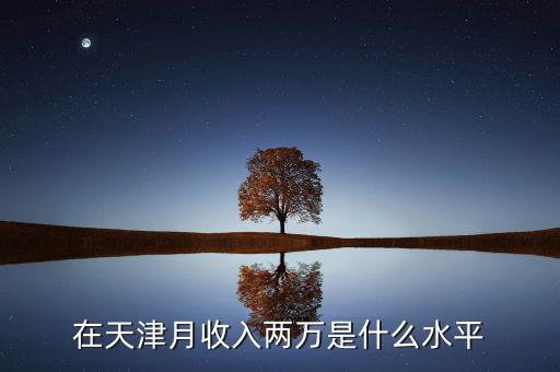 在天津月收入兩萬(wàn)是什么水平