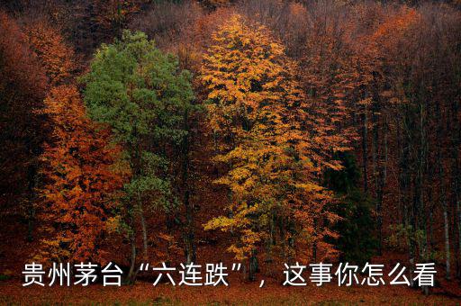 貴州茅臺“六連跌”，這事你怎么看
