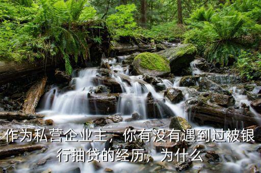 作為私營企業(yè)主，你有沒有遇到過被銀行抽貸的經(jīng)歷，為什么