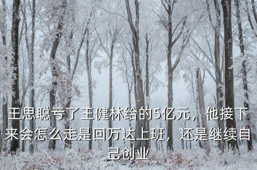 王思聰虧了王健林給的5億元，他接下來會怎么走是回萬達上班，還是繼續(xù)自己創(chuàng)業(yè)