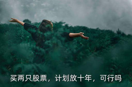 買兩只股票，計劃放十年，可行嗎