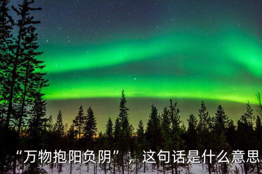 “萬(wàn)物抱陽(yáng)負(fù)陰”，這句話是什么意思