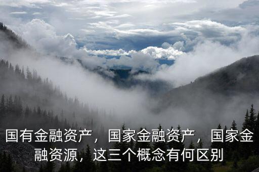 國有金融資產(chǎn)，國家金融資產(chǎn)，國家金融資源，這三個概念有何區(qū)別