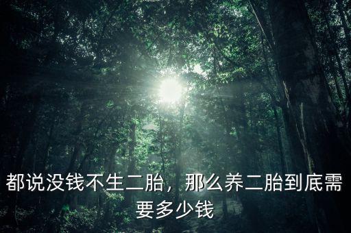 都說沒錢不生二胎，那么養(yǎng)二胎到底需要多少錢