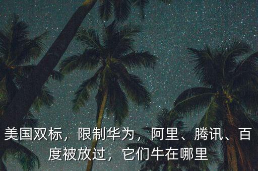 美國雙標(biāo)，限制華為，阿里、騰訊、百度被放過，它們牛在哪里