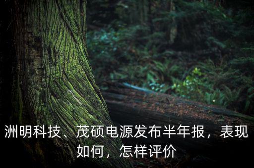 洲明科技、茂碩電源發(fā)布半年報，表現(xiàn)如何，怎樣評價