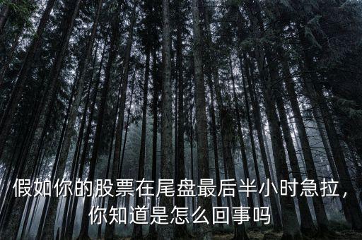 假如你的股票在尾盤(pán)最后半小時(shí)急拉，你知道是怎么回事嗎