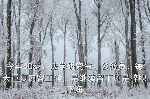 今年30歲，法學研究生，公務員，每天重復內容工作，是繼續(xù)留下還是辭職下海