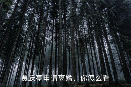 賈躍亭申請離婚，你怎么看