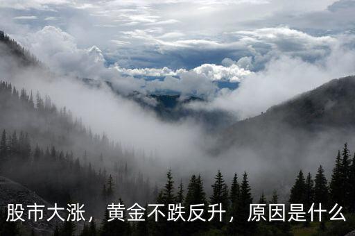 股市大漲，黃金不跌反升，原因是什么