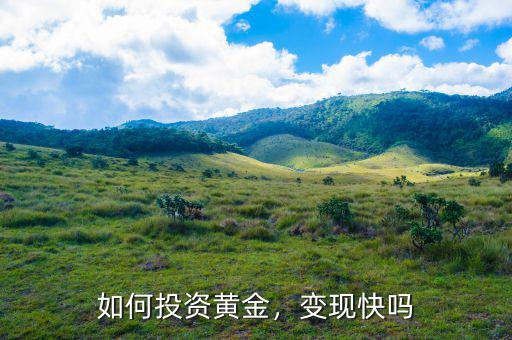 如何投資黃金，變現(xiàn)快嗎