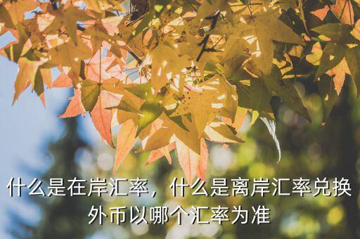 什么是在岸匯率，什么是離岸匯率兌換外幣以哪個匯率為準(zhǔn)