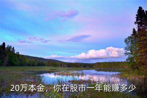 20萬本金，你在股市一年能賺多少