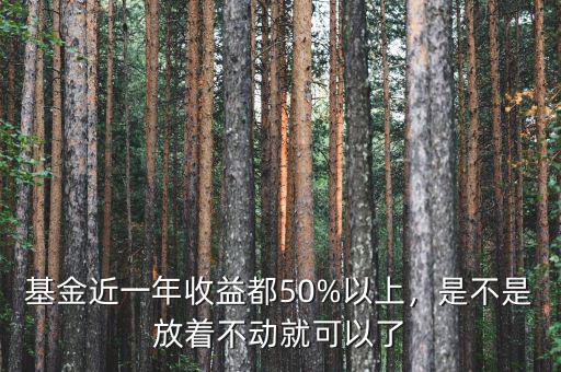 基金近一年收益都50%以上，是不是放著不動(dòng)就可以了