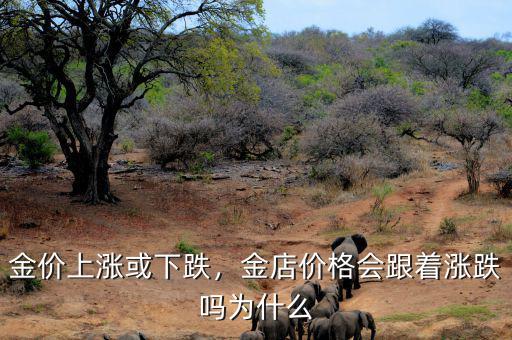 金價(jià)上漲或下跌，金店價(jià)格會(huì)跟著漲跌嗎為什么