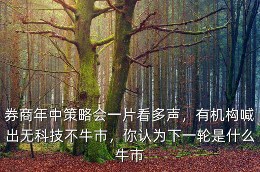 券商年中策略會一片看多聲，有機構(gòu)喊出無科技不牛市，你認為下一輪是什么牛市