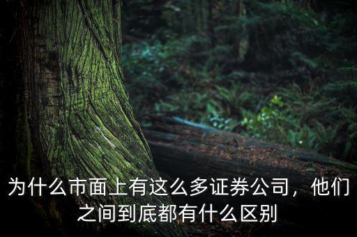 為什么市面上有這么多證券公司，他們之間到底都有什么區(qū)別
