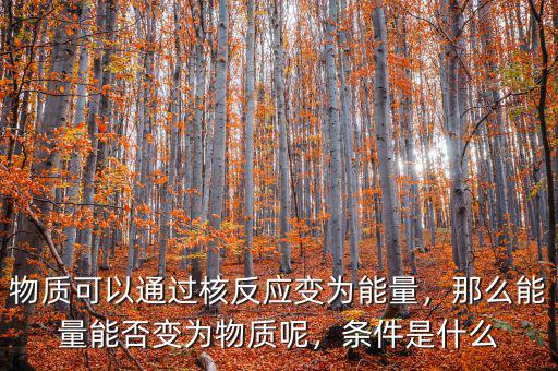 物質可以通過核反應變?yōu)槟芰?，那么能量能否變?yōu)槲镔|呢，條件是什么