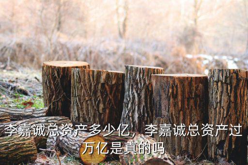 李嘉誠總資產(chǎn)多少億，李嘉誠總資產(chǎn)過萬億是真的嗎